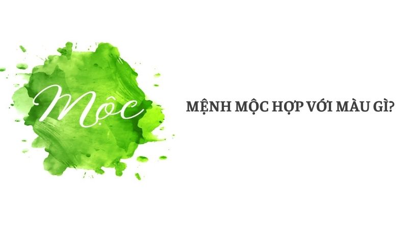 Mệnh Mộc hợp màu gì? Bật mí màu sắc hợp phong thủy cho mệnh Mộc