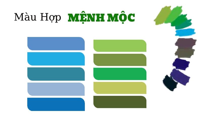 Mệnh Mộc hợp với màu gì