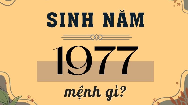 Sinh năm 1977 mệnh gì?