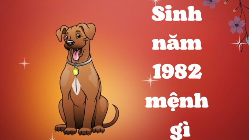 Sinh năm 1982 mệnh gì? Hợp tuổi nào? Màu sắc may mắn là gì?