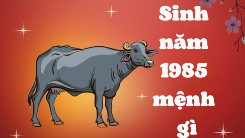 Sinh năm 1985 mệnh gì? Hợp màu gì? Hợp tuổi nào?