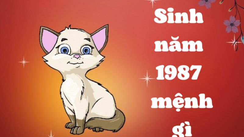 Sinh năm 1987 mệnh gì? Tính cách, màu sắc may mắn