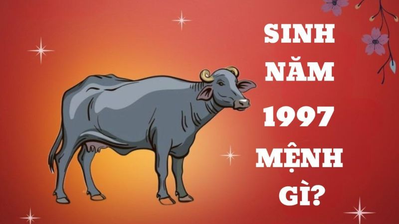 Trả lời thắc mắc sinh năm 1997 mệnh gì? Đi tìm màu sắc phù hợp