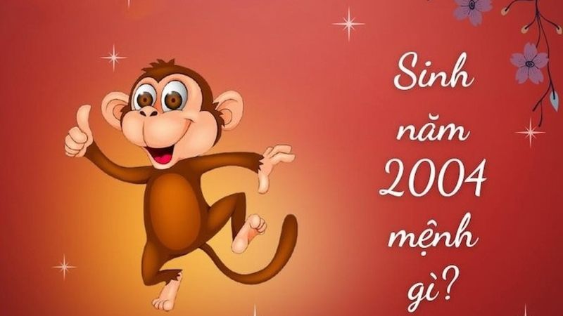 Lý giải thắc mắc sinh năm 2004 mệnh gì? Hợp tuổi nào?